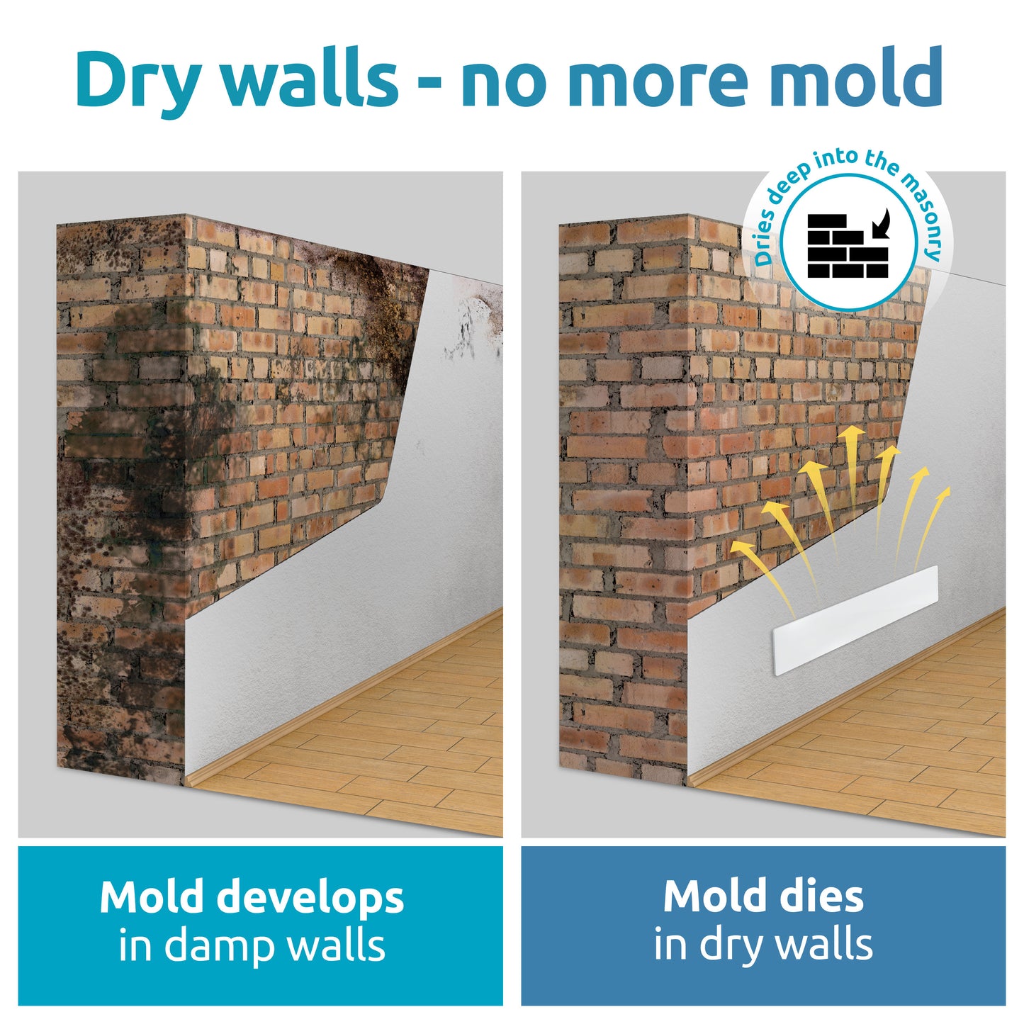 Mold-DRY Base Module
